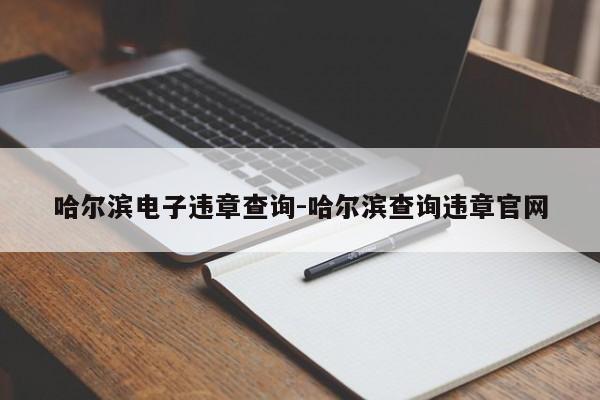 哈尔滨电子违章查询-哈尔滨查询违章官网