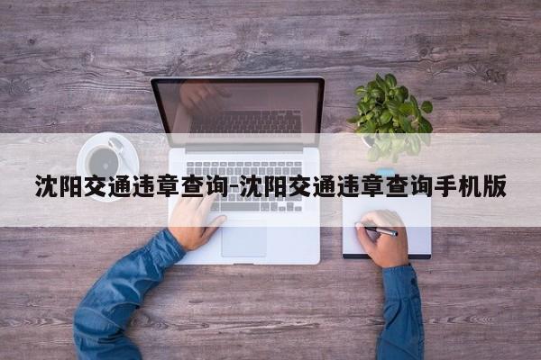 沈阳交通违章查询-沈阳交通违章查询手机版