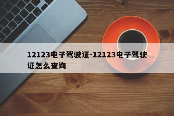 12123电子驾驶证-12123电子驾驶证怎么查询