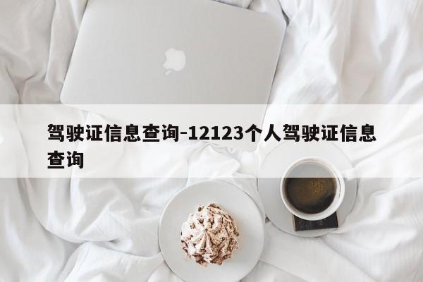 驾驶证信息查询-12123个人驾驶证信息查询