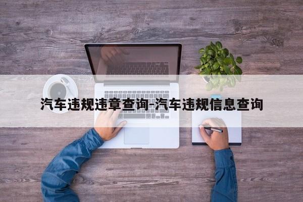 汽车违规违章查询-汽车违规信息查询