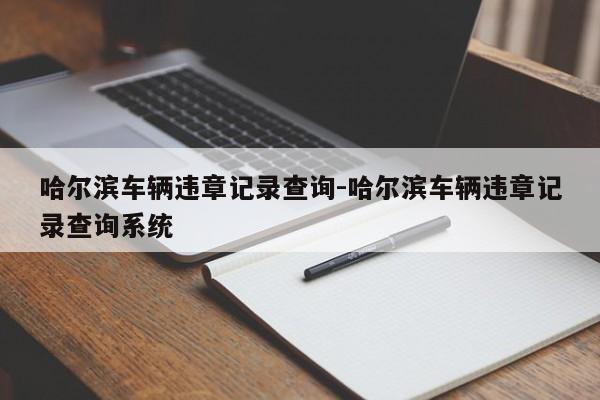 哈尔滨车辆违章记录查询-哈尔滨车辆违章记录查询系统