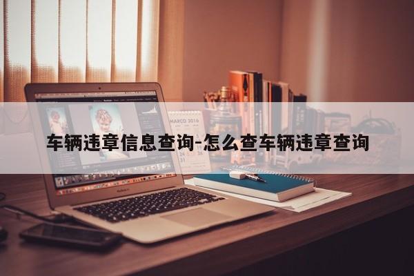 车辆违章信息查询-怎么查车辆违章查询