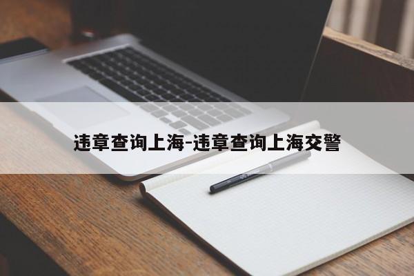 违章查询上海-违章查询上海交警