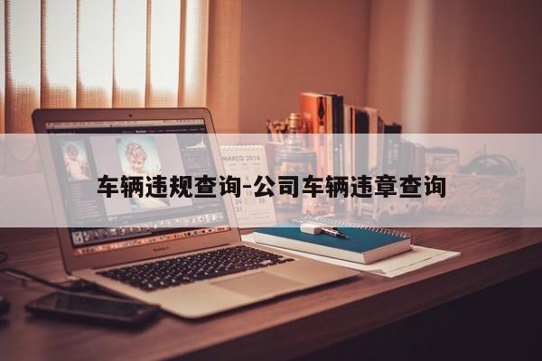 车辆违规查询-公司车辆违章查询