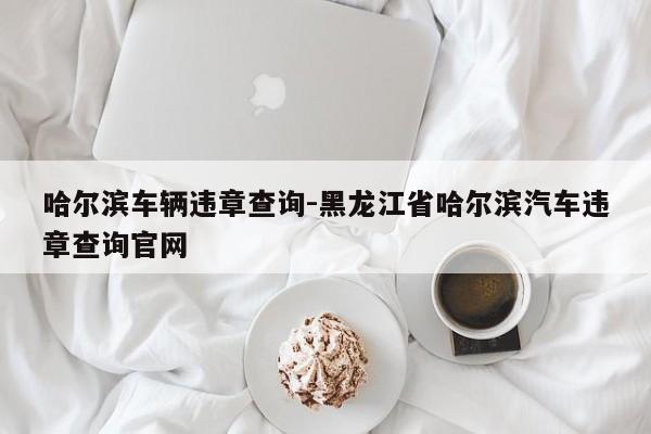 哈尔滨车辆违章查询-黑龙江省哈尔滨汽车违章查询官网