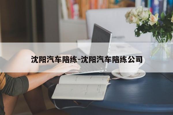 沈阳汽车陪练-沈阳汽车陪练公司