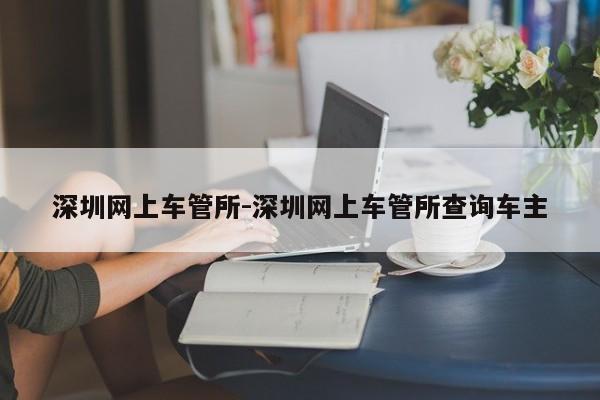 深圳网上车管所-深圳网上车管所查询车主