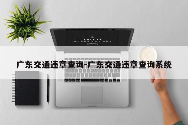 广东交通违章查询-广东交通违章查询系统