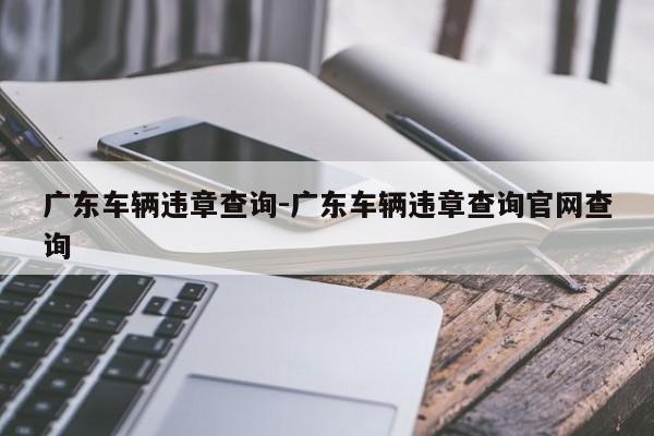 广东车辆违章查询-广东车辆违章查询官网查询