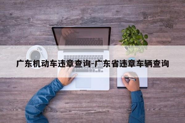 广东机动车违章查询-广东省违章车辆查询