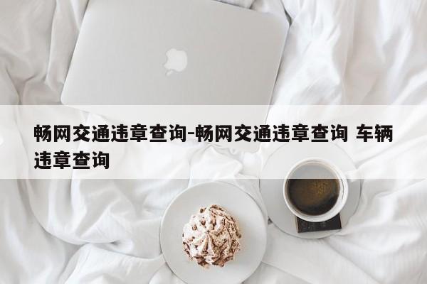 畅网交通违章查询-畅网交通违章查询 车辆违章查询