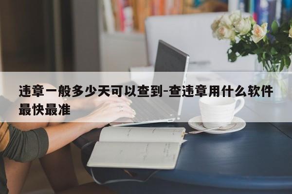 违章一般多少天可以查到-查违章用什么软件最快最准